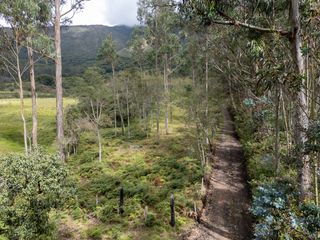 Foto 6 de Oportunidad : Muy bonito lote en Villa de Leyva