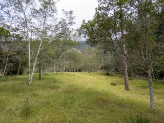 Foto 7 de Oportunidad : Muy bonito lote en Villa de Leyva