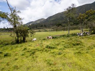 Foto 8 de Oportunidad : Muy bonito lote en Villa de Leyva