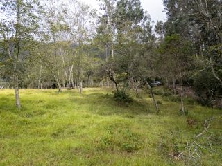 Foto 9 de Oportunidad : Muy bonito lote en Villa de Leyva