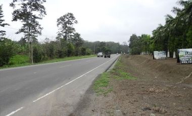similar_image