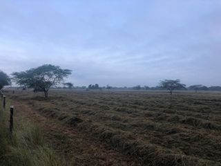 Foto 6 de Hacienda Agroindustrial y Ganadera