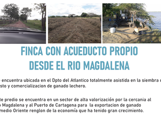 Foto 2 de Hacienda Agroindustrial y Ganadera