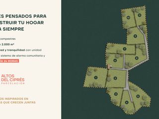 Foto 4 de lotes oriente 2.000 m2