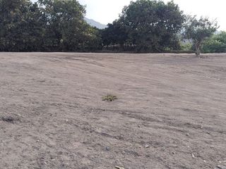 Foto 4 de ‼OPORTUNIDAD DE INVERSIÓN, A 15 MINUTOS DEL NUEVO PUERTO DE CHANCAY‼