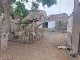 Foto 10 de Local Industrial como Alquiler en Lurín