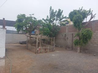 Foto 13 de Local Industrial como Alquiler en Lurín