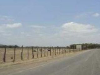 Foto 1 de Terreno para planta agro Industrial o afines en Motupe