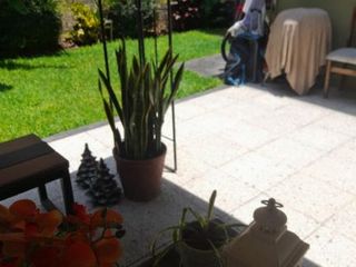 Foto 2 de Buena Casa Salamanca