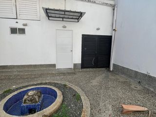 Foto 2 de ARRENDAMOS AMPLIA Y HERMOSA CASA  SAN FERNANDO PARA OFICINAS O RESTAURANTES