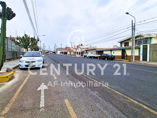 Foto 3 de VENTA DE TERRENO POR LA AV EJERCITO OLIVAR I FRENTE A LA LECHERIA - TACNA