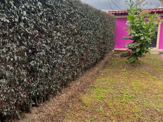 Foto 16 de Casa Campestre Se Vende Tabio Cund