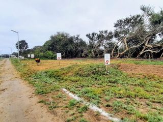Foto 7 de ¡TERRENOS EN VENTA A SÓLO 5 MINUTOS DE LA PLAYA BUJAMA!