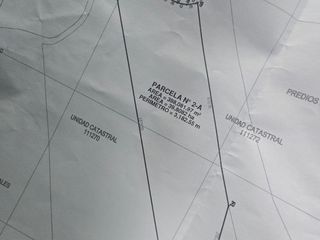 Foto 4 de VENTA DE TERRENO EN UCAYALI