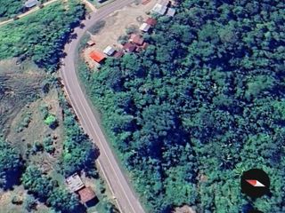 Foto 5 de VENTA DE TERRENO EN UCAYALI