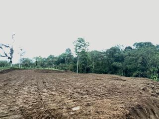 Foto 3 de TERRENO EN VENTA, PEDRO VICENTE MALDONADO