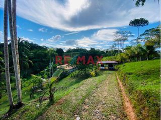 Foto 2 de Venta 21 Ha De Terreno Agricola Con Casa En Iquitos