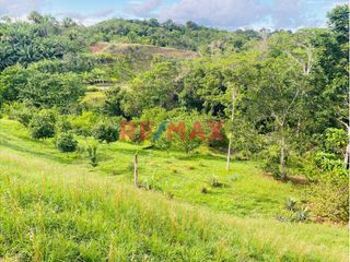 Foto 4 de Venta 21 Ha De Terreno Agricola Con Casa En Iquitos