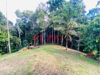 Foto 5 de Venta 21 Ha De Terreno Agricola Con Casa En Iquitos