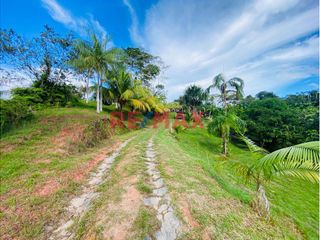 Foto 7 de Venta 21 Ha De Terreno Agricola Con Casa En Iquitos