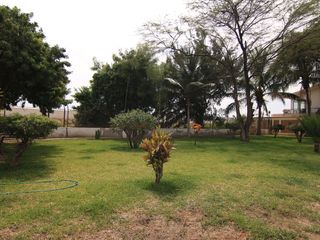 Foto 2 de AMPLIO TRIPLE EN ALQUILER – URB. LOS COCOS DEL CHIPE-PIURA