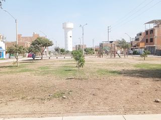 Foto 6 de ALQUILER LOCAL COMERCIAL EN PACHACAMAC