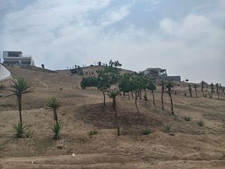 Foto 16 de VENTA DE TERRENO, 512 M2, PUNTA NEGRA, VISTA PANORAMICA AL MAR, ENERGÍA ELÉCTRICA, PARA CASA