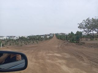 Foto 13 de VENTA DE TERRENO, 512 M2, PUNTA NEGRA, VISTA PANORAMICA AL MAR, ENERGÍA ELÉCTRICA, PARA CASA