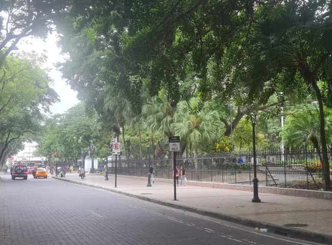 place photo 14