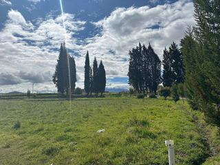 Foto 3 de Excelente Inversión: 33.000 m² en Zona de Alta Plusvalía, en Venta