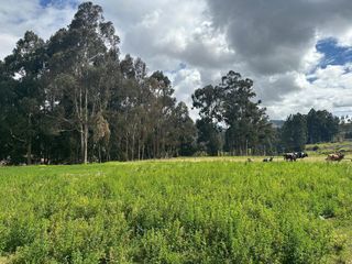 Foto 4 de Excelente Inversión: 33.000 m² en Zona de Alta Plusvalía, en Venta