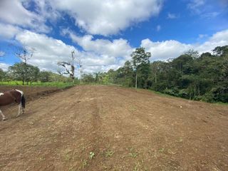 Foto 1 de TERRENO DE VENTA UBICADO EN PEDRO VICENTE MALDONADO