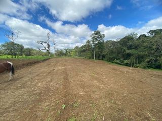 Foto 5 de TERRENO DE VENTA UBICADO EN PEDRO VICENTE MALDONADO