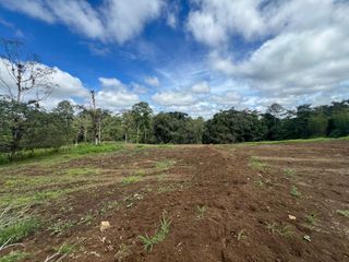 Foto 9 de TERRENO DE VENTA UBICADO EN PEDRO VICENTE MALDONADO