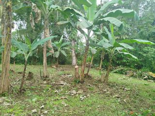 Foto 1 de PEDRO V. MALDONADO VENDO TERRENO 2800M2, URB CASCADA AZ. 2 ETAPA
