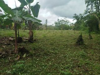 Foto 2 de PEDRO V. MALDONADO VENDO TERRENO 2800M2, URB CASCADA AZ. 2 ETAPA