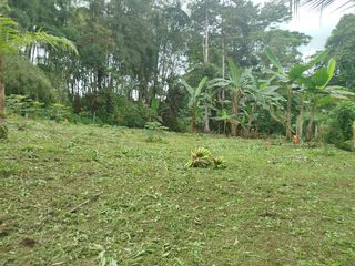 Foto 4 de PEDRO V. MALDONADO VENDO TERRENO 2800M2, URB CASCADA AZ. 2 ETAPA
