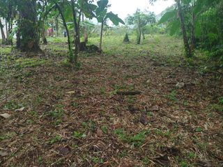 Foto 6 de PEDRO V. MALDONADO VENDO TERRENO 2800M2, URB CASCADA AZ. 2 ETAPA