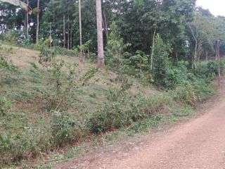 Foto 11 de PEDRO V. MALDONADO VENDO TERRENO 2800M2, URB CASCADA AZ. 2 ETAPA