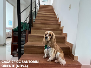 Foto 4 de SE VENDE ESPECTACUALR CASA/ CC SANTORINI 1 NEIVA (HUILA-COL)