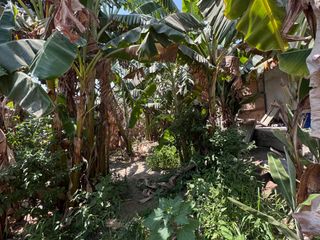 Foto 1 de Se Vende Casa Como Terreno En Huacho
