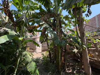 Foto 4 de Se Vende Casa Como Terreno En Huacho