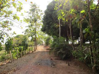 Foto 1 de Vendo Hermosa Finca en Montelíbano