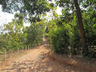 Foto 2 de Vendo Hermosa Finca en Montelíbano