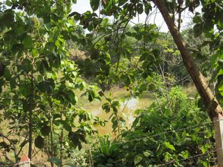 Foto 3 de Vendo Hermosa Finca en Montelíbano