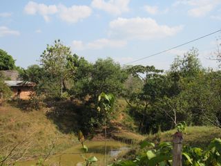 Foto 4 de Vendo Hermosa Finca en Montelíbano