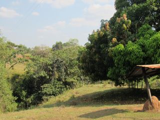 Foto 5 de Vendo Hermosa Finca en Montelíbano