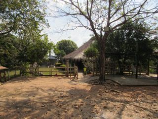 Foto 6 de Vendo Hermosa Finca en Montelíbano