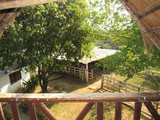 Foto 13 de Vendo Hermosa Finca en Montelíbano