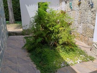 Foto 27 de MARAVILLOSA CASA QUINTA CHINAUTA